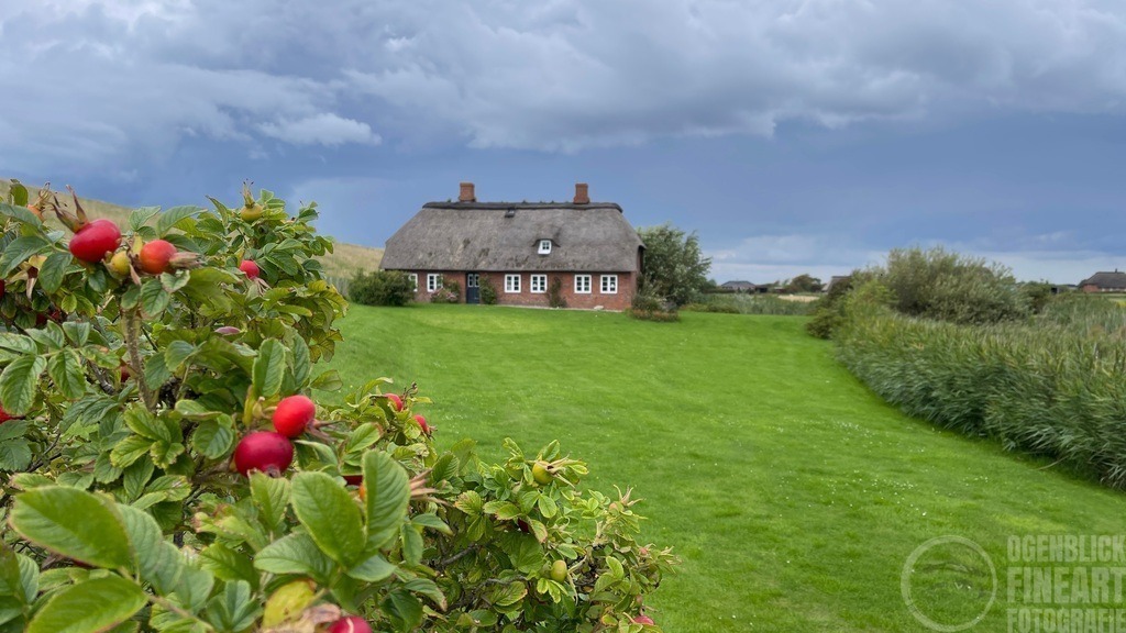 IMG_8146 | Björn Thiemann; Ogenblick.de; Fotografie; Photograph; Landscape, Pellworm, Schleswig-Holstein; Inselfotograf; Inselfotografien; Wattenmeer; National-Park; Naturschutzgebiet; Leuchtturm; Lighthouse; Leinwandbilder; Kalender; Pellworm Kalender;  - Realisiert mit Pictrs.com