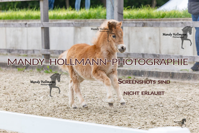 _MG_1073 | mandyhollmannphotographie