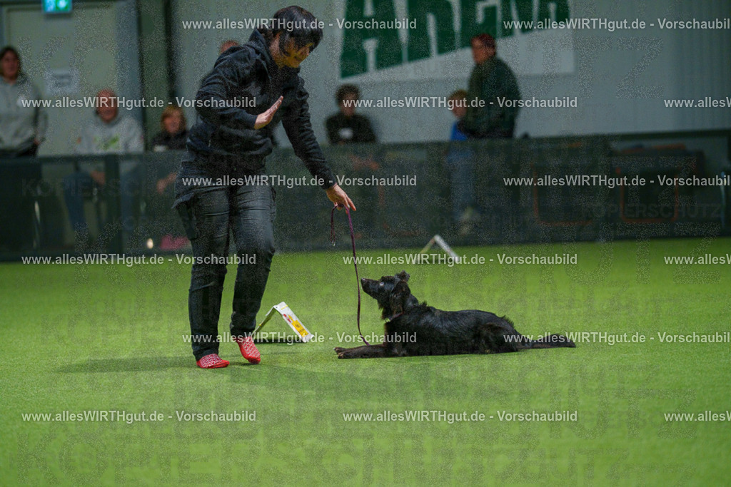 7R505746 | Professionelle Tierfotografie in Mönchengladbach von Daniel Wirth (allesWIRTHgut). Liebevolle & natürliche Bilder von Hunden & Katzen für unvergessliche Erinnerungen.