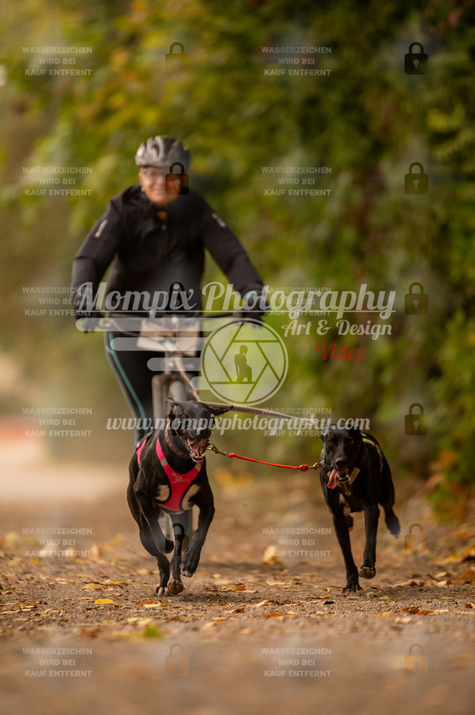 CDLBDB_14_10_2023_Samedi-38 | PayLife