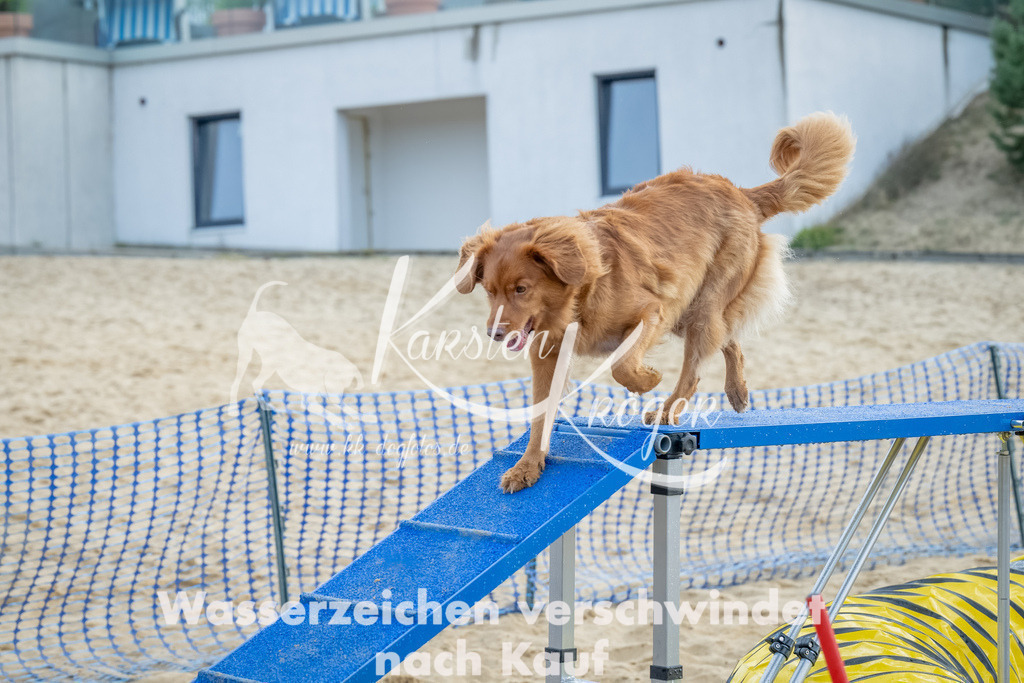 0911_ZZ91990-Bearbeitet | kk-dogfotos