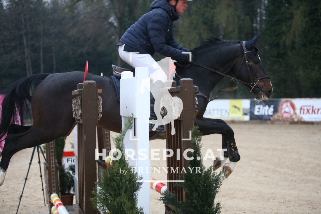 AS8V1094 | Willkommen bei Brunnmayr - Design & Fotografie – Ihrem Spezialisten für Reitturniere und Pferdeveranstaltungen in Oberösterreich, Salzburg und Bayern! Seit über 17 Jahren sind wir leidenschaftlich dabei.