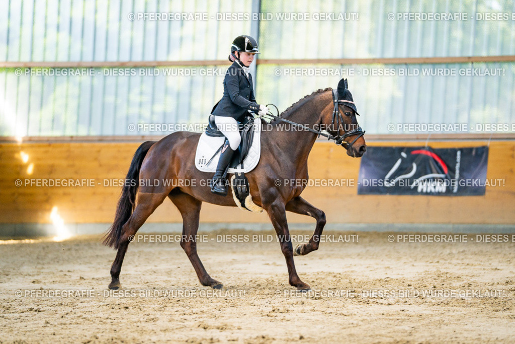 DSC06378 | Pferdegrafie