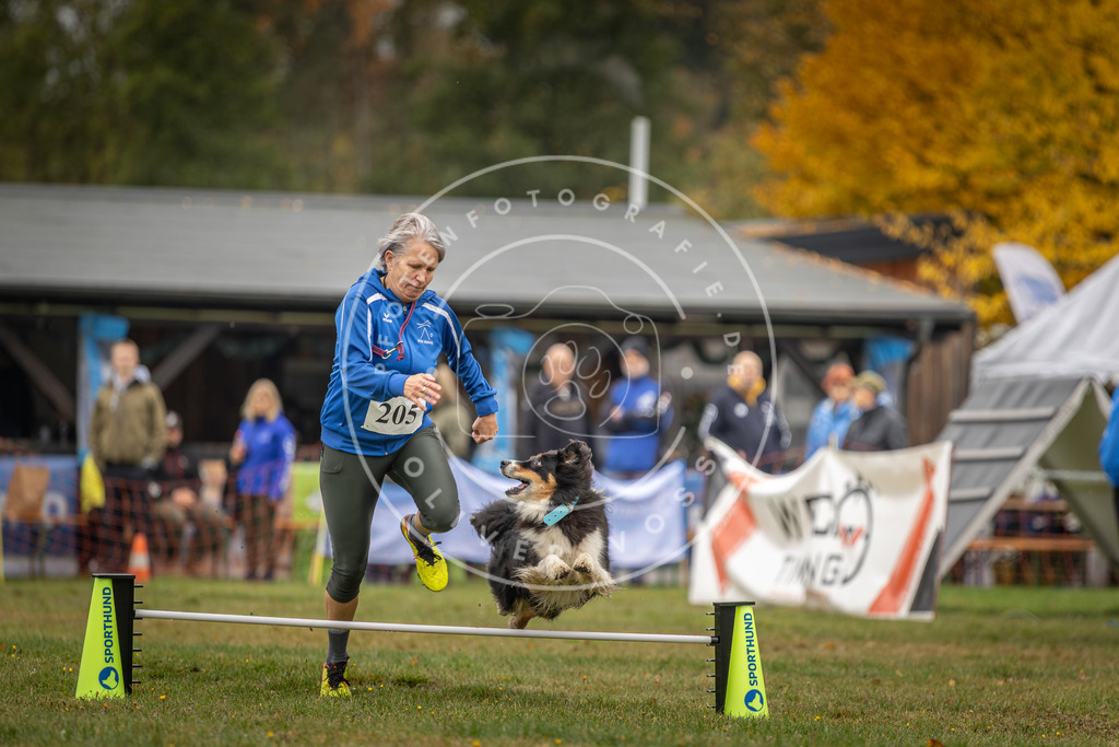 Pfotenfotografie_DV3A1719 | Hundefotografie, Tierfotograf, Pfotenfotografie, Fotoshooting Hund, Hunde Portrait, Hundesport, Hundeportraits, Heideshooting, Hunde, Sportfotograf, Hundefotograf, Turnierhundsport, THS,  - Realisiert mit Pictrs.com