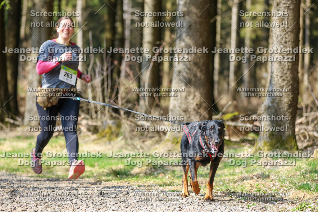 Dog Paparazzi - VCC26-263 | Dog Paparazzi Jeanette Grottendiek Fotografie & Videografie - Realisiert mit Pictrs.com