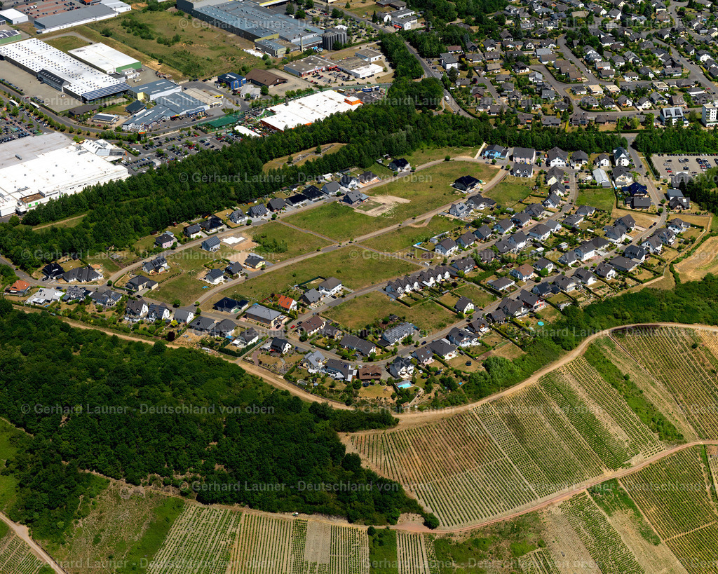 MVZ Mittelmosel-Zell-Mosel-3114424 | MVZ Mittelmosel Zell, Mosel