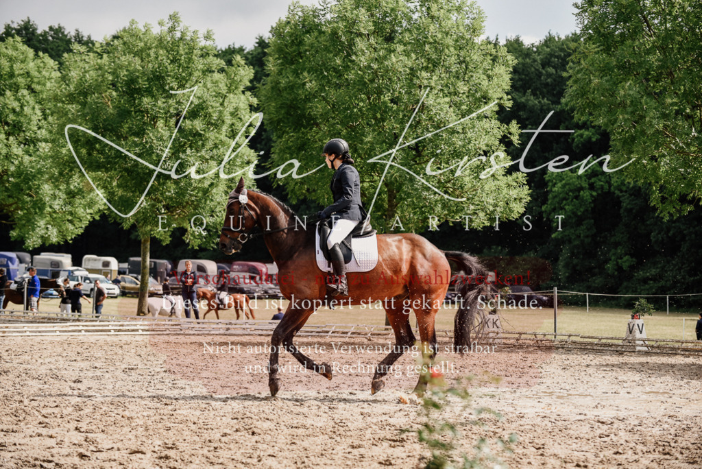 DSC_9622 | Pferde- und Turnierfotografie in Westsachsen. Pferdeportraits, Auftragszeichnungen und intuitive Kunst.