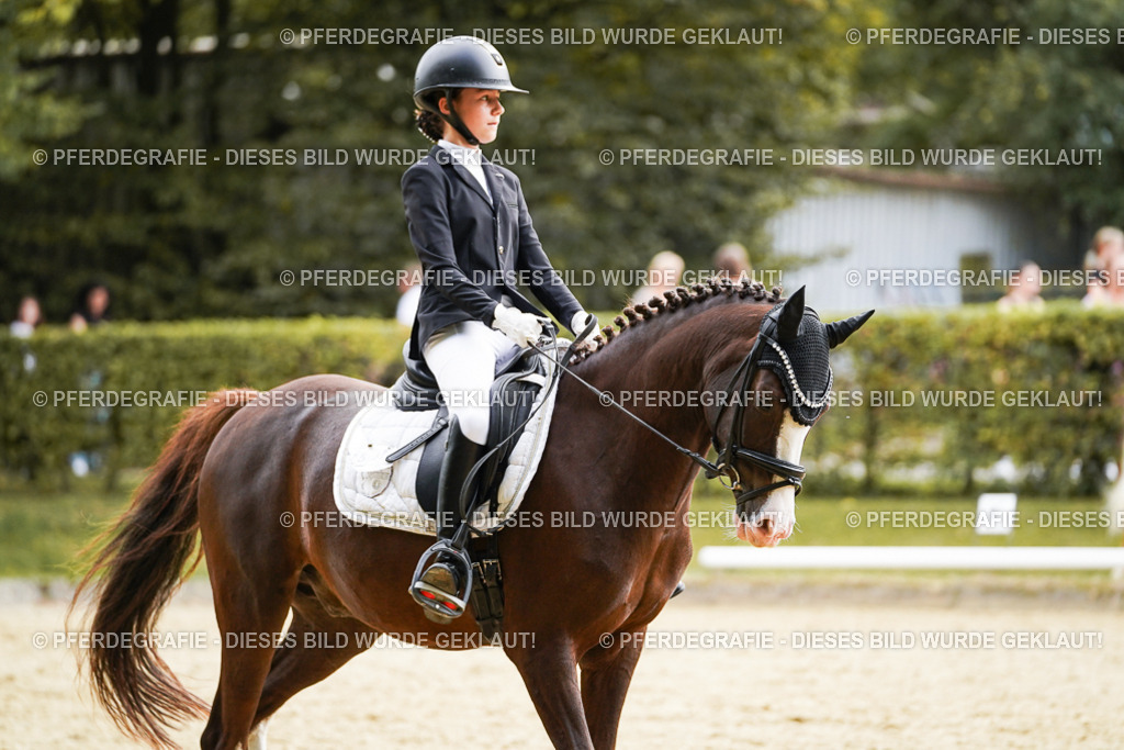 DSC00726 | Pferdegrafie