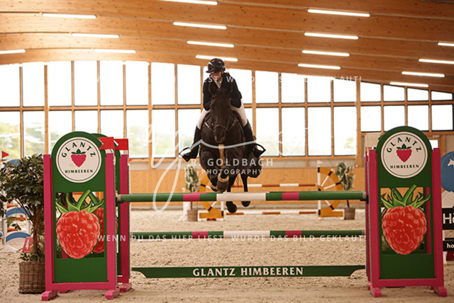 1J2A9031Mira Leinert_ Ilari R_ Kn291_ Glantz_ Hohen Wieschendorf | Foto- und Videografie für alles rund ums Pferd. Hochwertige Bilder und Videos vom Spring- und Dressurreiten, Voltigieren & mehr. Jetzt aktuelle Veranstaltungen und Preise im Shop ansehen. - Realisiert mit Pictrs.com