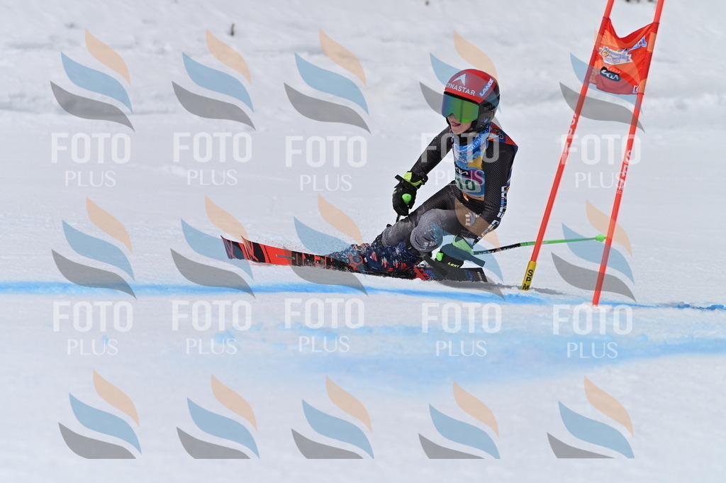 BGV_4067 | holidayphoto