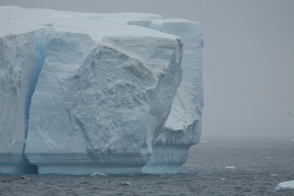 IMG_7880 | Antarktis / Antarctica - Realisiert mit Pictrs.com