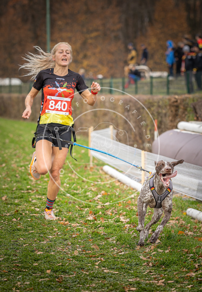 CaniXpix_DV3A6235 | Hundefotografie, Tierfotograf, Pfotenfotografie, Fotoshooting Hund, Hunde Portrait, Hundesport, Hundeportraits, Heideshooting, Hunde, Sportfotograf, Hundefotograf, Turnierhundsport, THS,  - Realisiert mit Pictrs.com