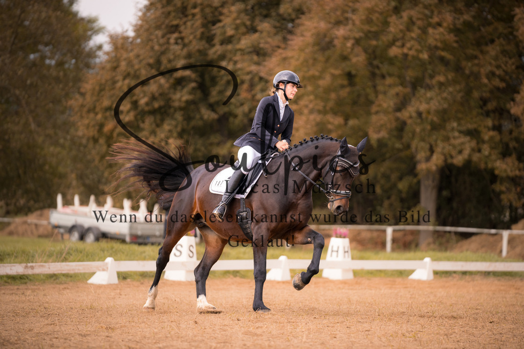 A7V05201 | Pferdefotograf