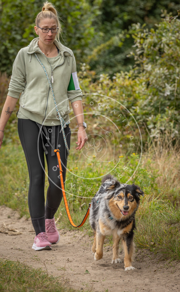 Pfotenfotografie_DV3A7018 | Hundefotografie, Tierfotograf, Pfotenfotografie, Fotoshooting Hund, Hunde Portrait, Hundesport, Hundeportraits, Heideshooting, Hunde, Sportfotograf, Hundefotograf, Turnierhundsport, THS,  - Realisiert mit Pictrs.com