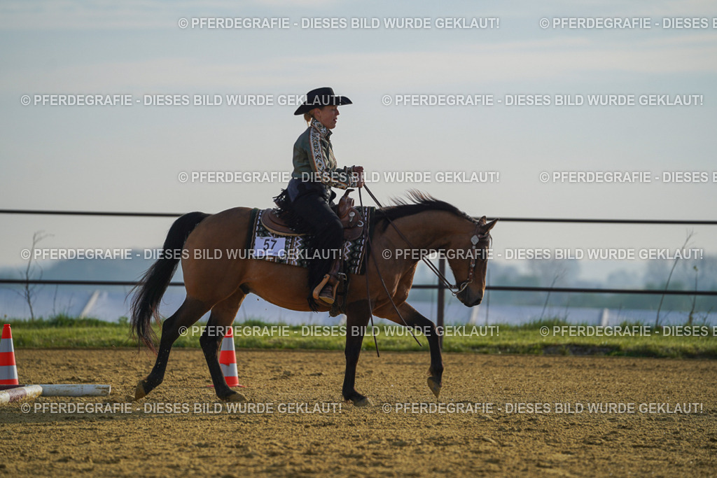 DSC00516 | Pferdegrafie