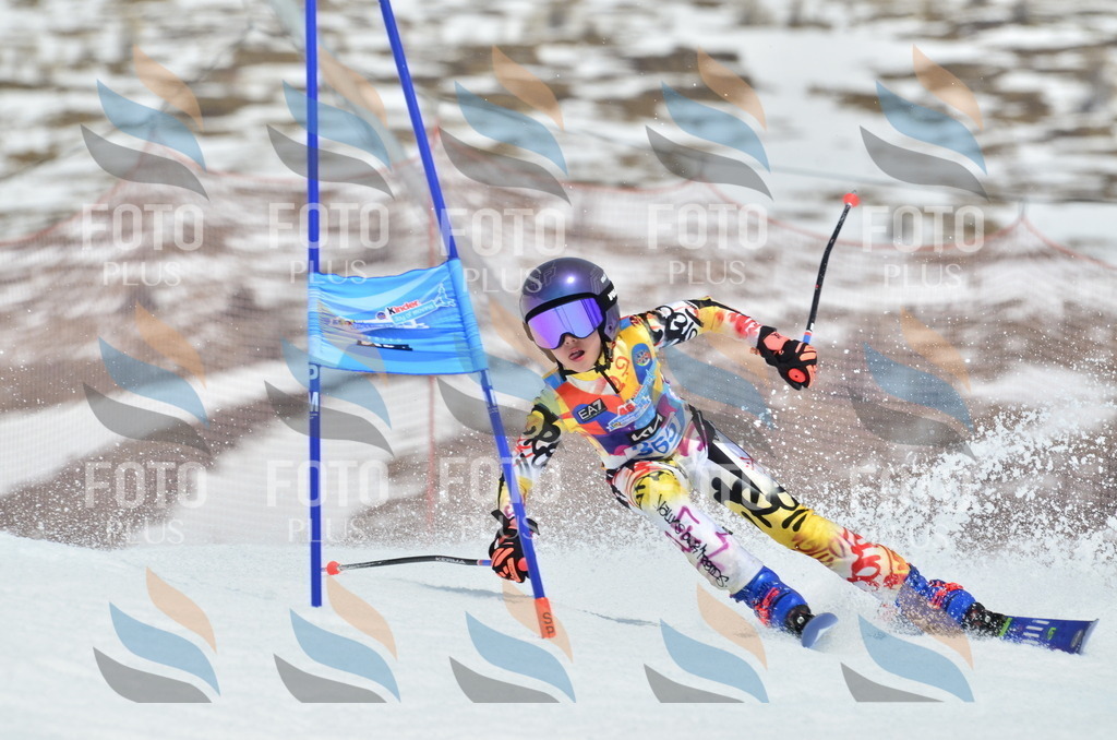 _ELE2922 | holidayphoto