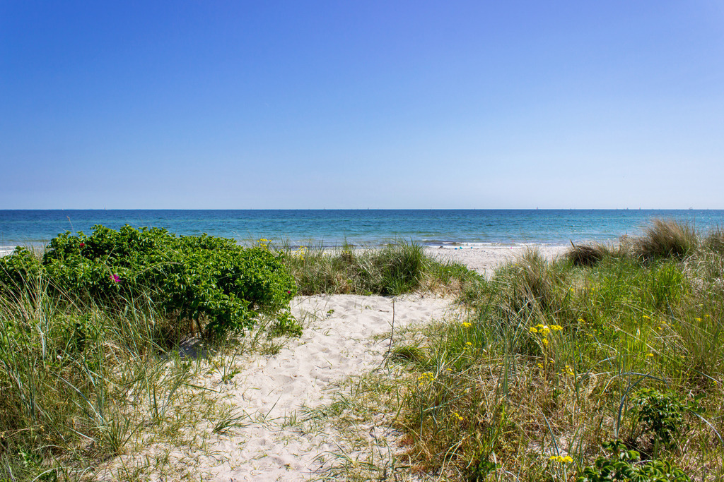 Wandbild: Kronsgaard – Sandweg durch Strandhafer zum Meer | Dieses Wandbild im Querformat zeigt einen sandigen Weg, der sich durch grünen Strandhafer und blühende Wildblumen zum ruhigen Strand von Kronsgaard schlängelt. Die Szene strahlt natürliche Leichtigkeit und sommerliche Ruhe aus – der klare Himmel und das sanft schimmernde Wasser im Hintergrund machen das Motiv zu einem echten Küstenklassiker. Ideal für Wohnräume, Ferienunterkünfte oder Praxisräume – dieses Bild bringt die entspannte Atmosphäre der Ostsee direkt ins Interieur. Erhältlich als Leinwand, Acrylglas, Alu-Dibond, hochwertiger FineArt-Druck oder als schallabsorbierendes Akustikbild. - Realisiert mit Pictrs.com