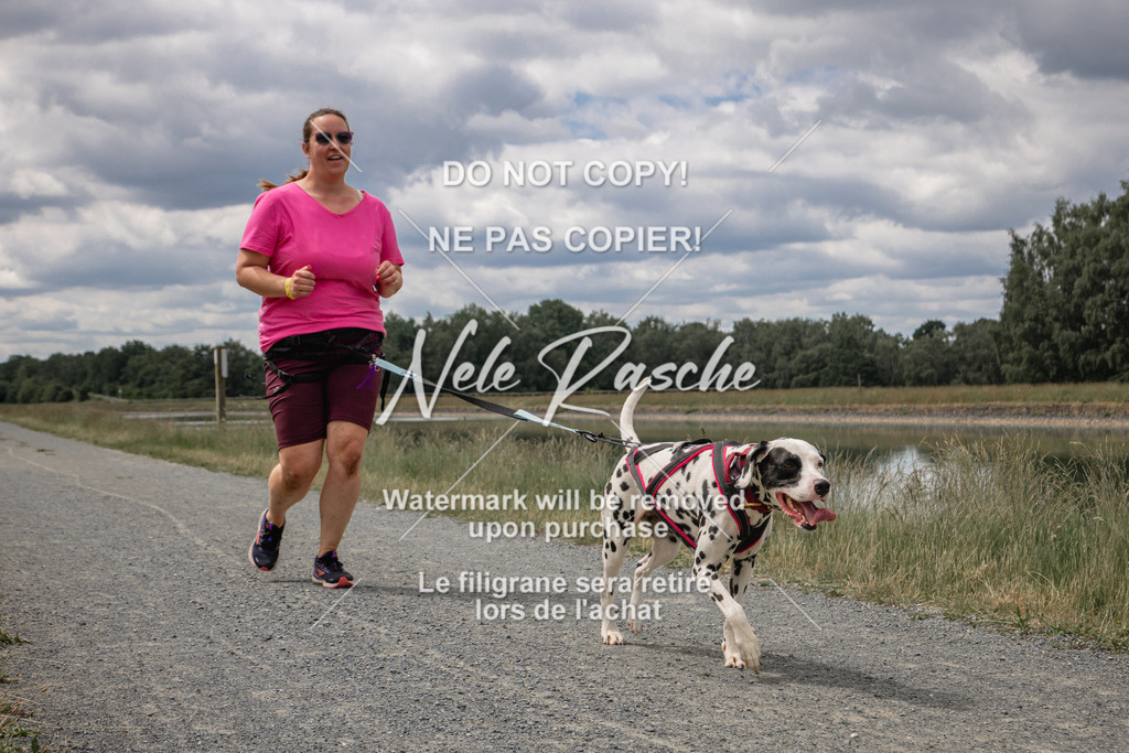 nelerasche_BuHu2026_SaCC1100-1200_265 | nelerasche