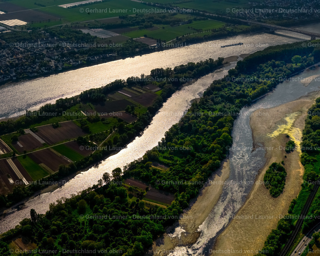 3117710 | Rhein bei Bendorf