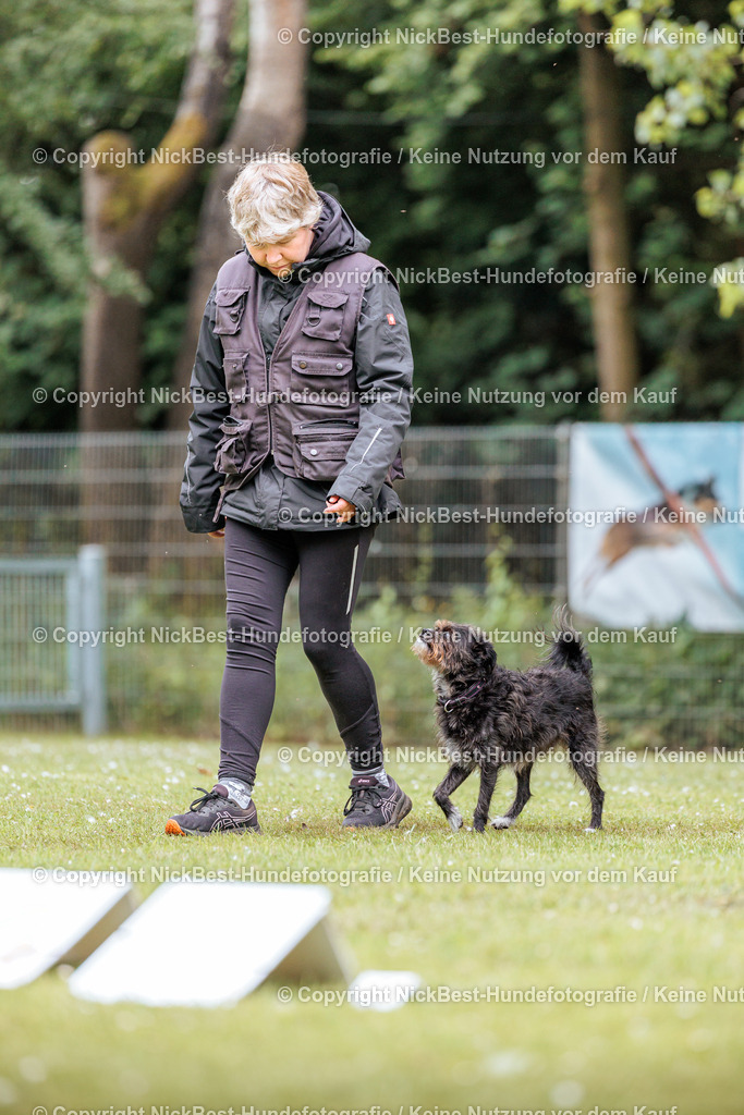RO-Blumenthal-2026-Nickbest-Hundefotografie-2420 | Dein Hund! Dein Moment! Deine Erinnerungen! Hundefotografie in Bremen Blumenthal. Ich fange die besonderen Momente deines Vierbeiners ein – ob Indoor mit Blitzanlage oder in der freien Natur. Sicher dir dein Moment und dein Termin für eure Erinnerungen.