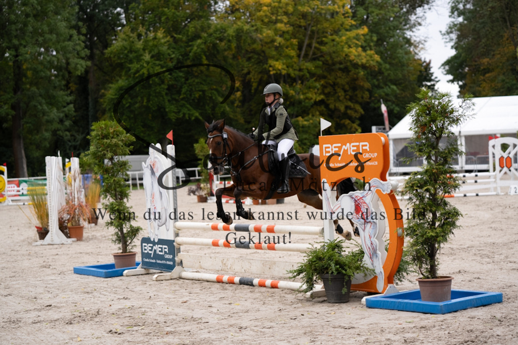 A7V08405 | Pferdefotograf