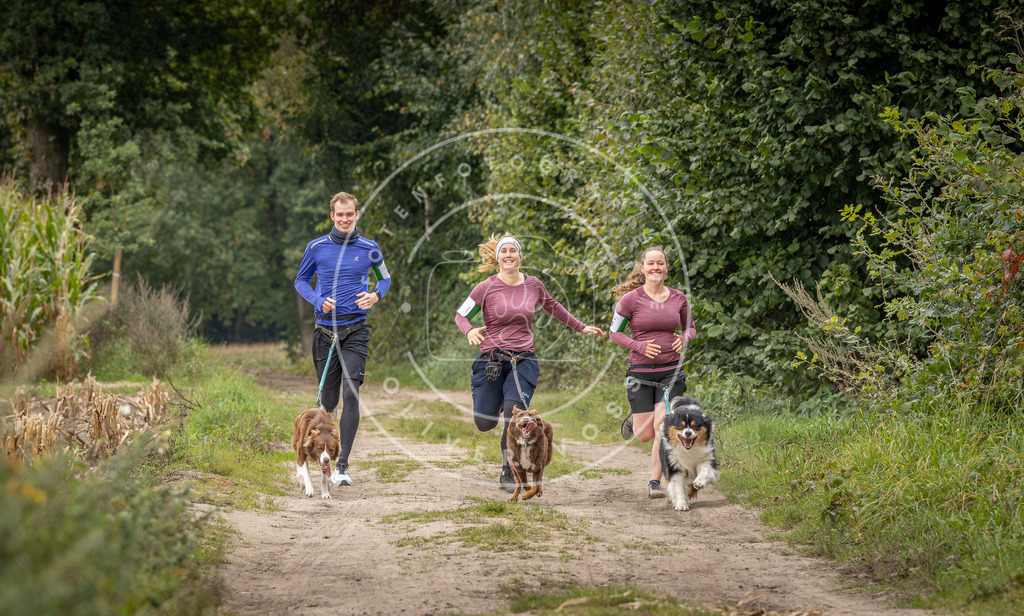 Pfotenfotografie_DV3A6079 | Hundefotografie, Tierfotograf, Pfotenfotografie, Fotoshooting Hund, Hunde Portrait, Hundesport, Hundeportraits, Heideshooting, Hunde, Sportfotograf, Hundefotograf, Turnierhundsport, THS,  - Realisiert mit Pictrs.com