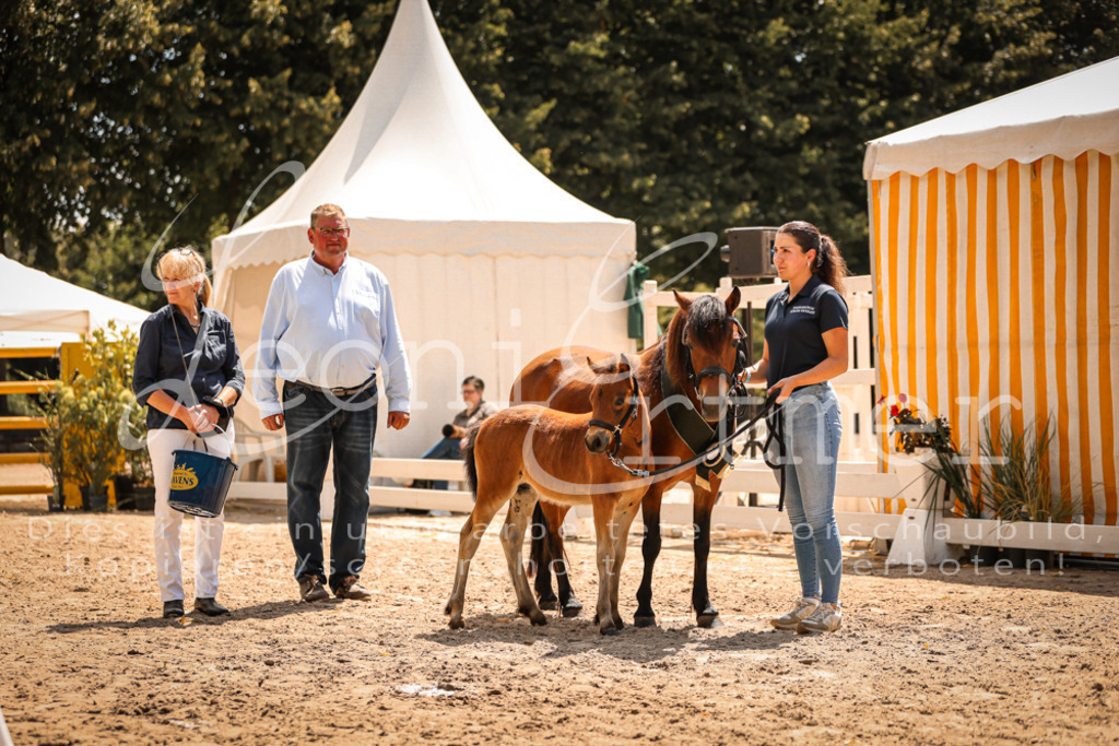 02.DoSR00221 | Leoni Ertmer Photography - Realisiert mit Pictrs.com