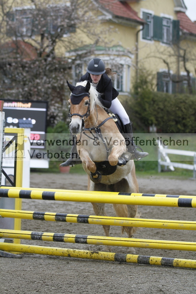 _MG_3523 | equestrian-live-com