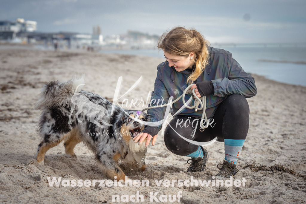 1156_ZZ92921 | kk-dogfotos