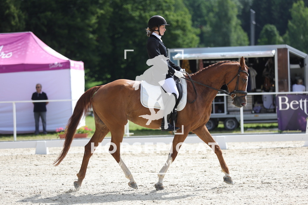 0P6A4960 | Willkommen bei Brunnmayr - Design & Fotografie – Ihrem Spezialisten für Reitturniere und Pferdeveranstaltungen in Oberösterreich, Salzburg und Bayern! Seit über 17 Jahren sind wir leidenschaftlich dabei.