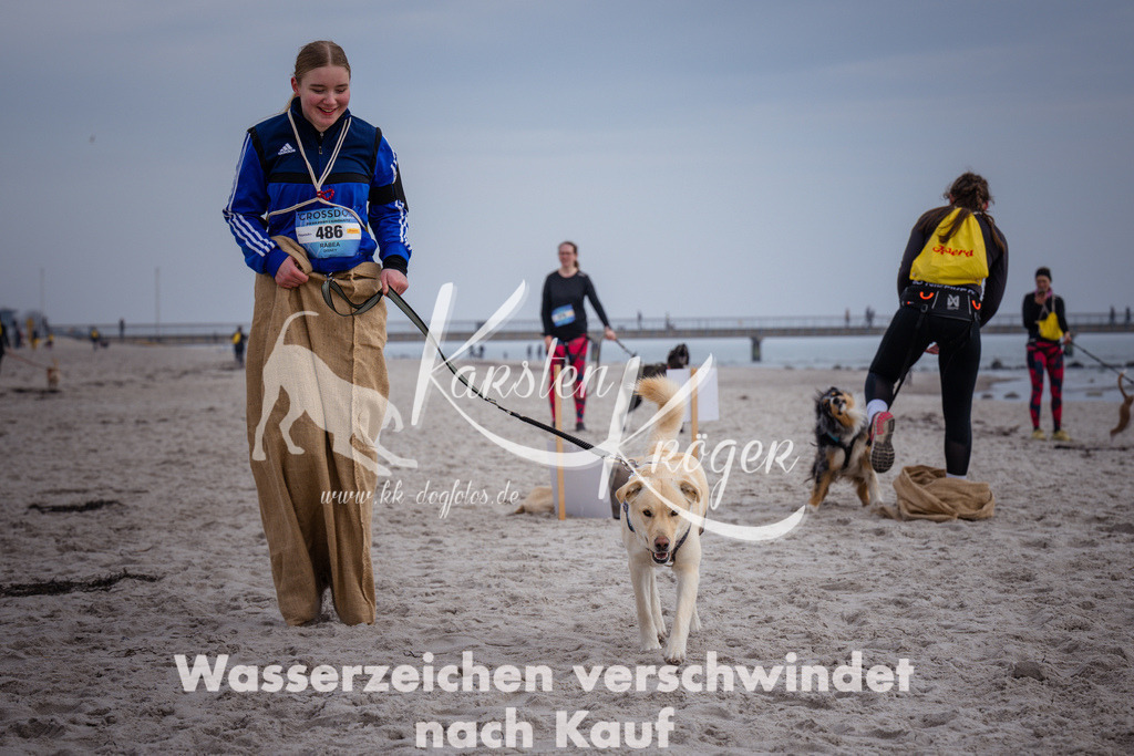 1150_ZZ91006 | kk-dogfotos