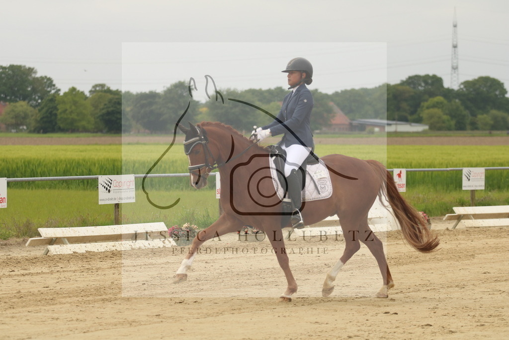 IMG_6931 | jessicahollubetz_pferdephotographie - Realisiert mit Pictrs.com