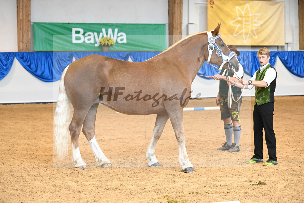 Kat-Nr. 66 Florida G_Grandauer_53220232 | hf-fotografie - Realisiert mit Pictrs.com