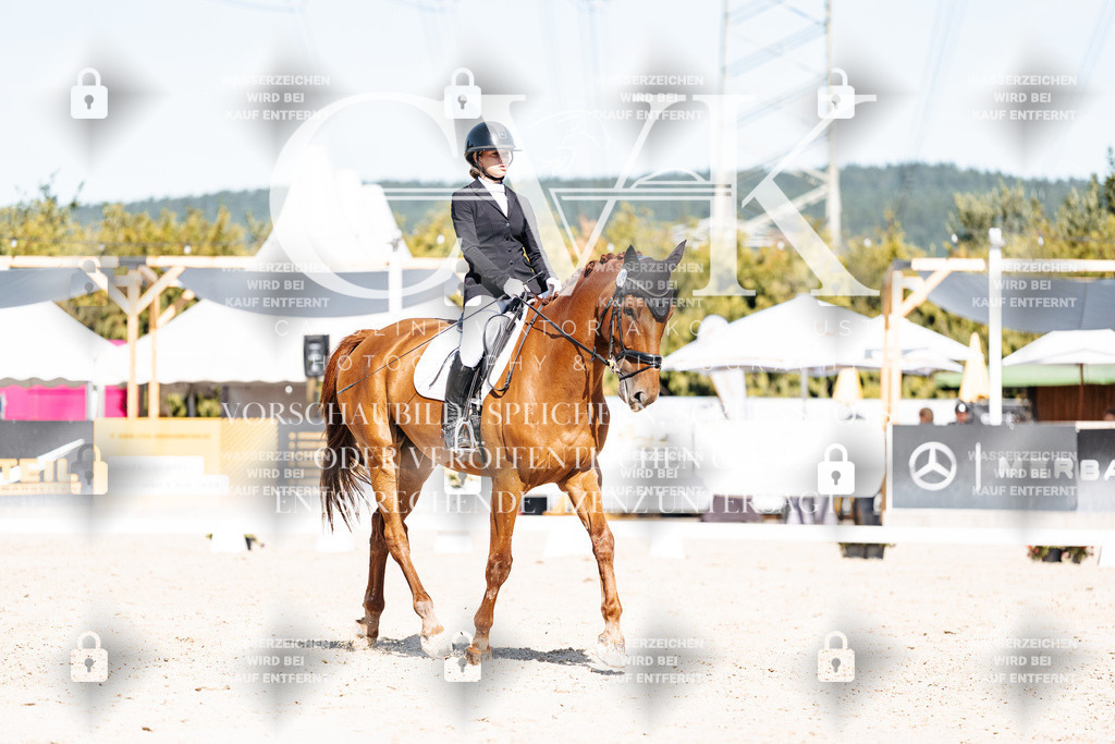CK908705 | Turnierfotografie Pferdefotografie Trier Rheinland-Pfalz Pferdesport Reitsport Tierfotografie Sportfotografie Pferdevideo Pferdevideografie Equestrianvideography equestrianphotography  - Realisiert mit Pictrs.com