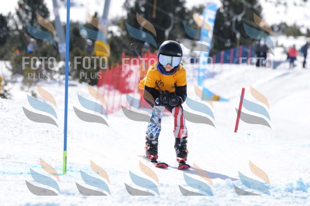 C8994 | holidayphoto