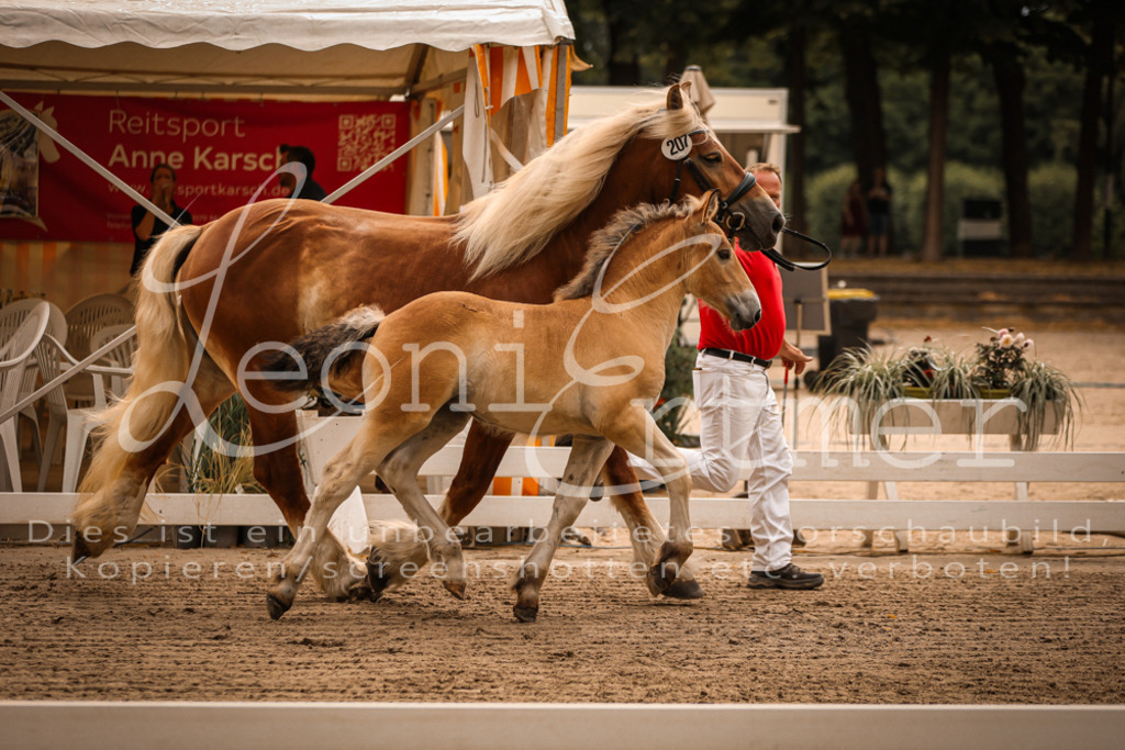 SaSF00050 | Leoni Ertmer Photography - Realisiert mit Pictrs.com