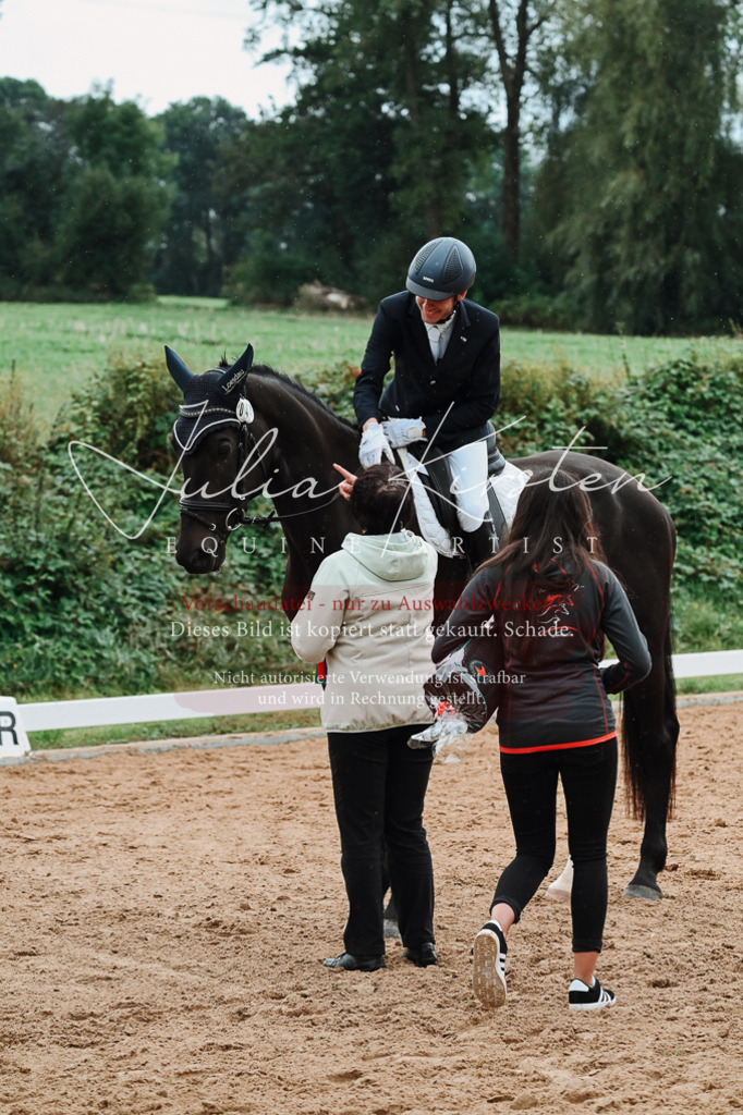 DSC_7247 | Pferde- und Turnierfotografie in Westsachsen. Pferdeportraits, Auftragszeichnungen und intuitive Kunst.