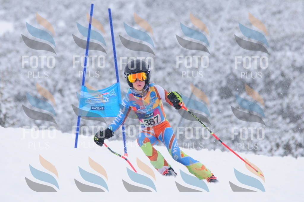 C4108 | holidayphoto