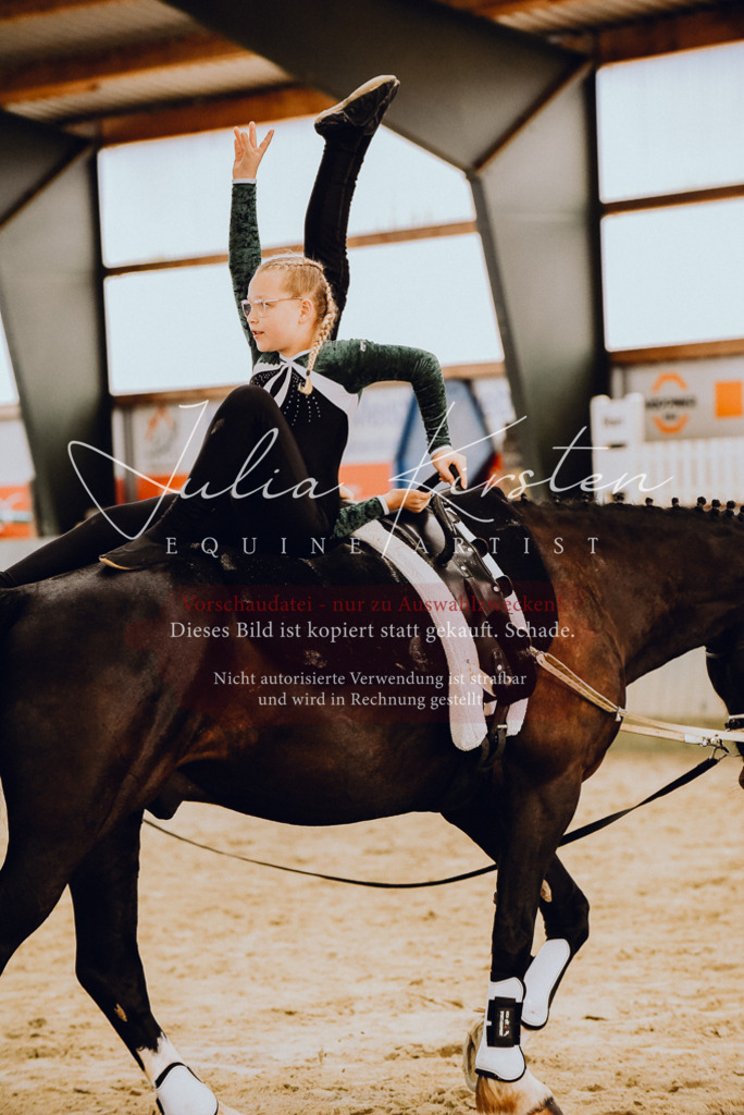 DSC_6872 | Pferde- und Turnierfotografie in Westsachsen. Pferdeportraits, Auftragszeichnungen und intuitive Kunst.