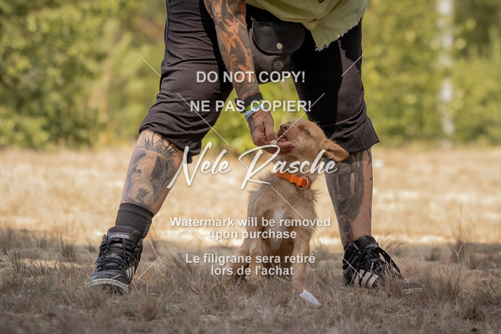 nelerasche_soDD2_53 | nelerasche