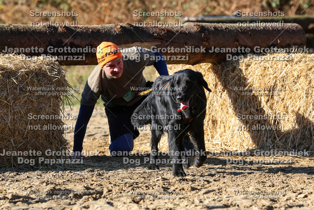 Dog Paparazzi - Strongdog 10-25-2214 | Dog Paparazzi Jeanette Grottendiek Fotografie & Videografie - Realisiert mit Pictrs.com