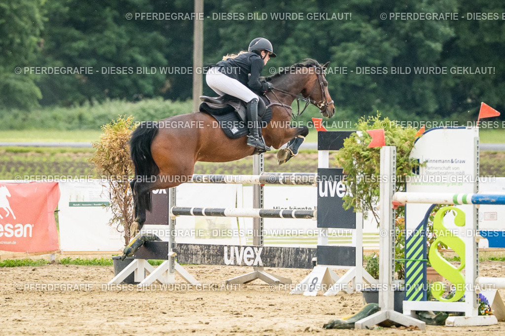 DSC07174 | Pferdegrafie