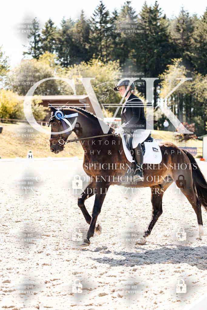 CK904235 | Turnierfotografie Pferdefotografie Trier Rheinland-Pfalz Pferdesport Reitsport Tierfotografie Sportfotografie Pferdevideo Pferdevideografie Equestrianvideography equestrianphotography  - Realisiert mit Pictrs.com