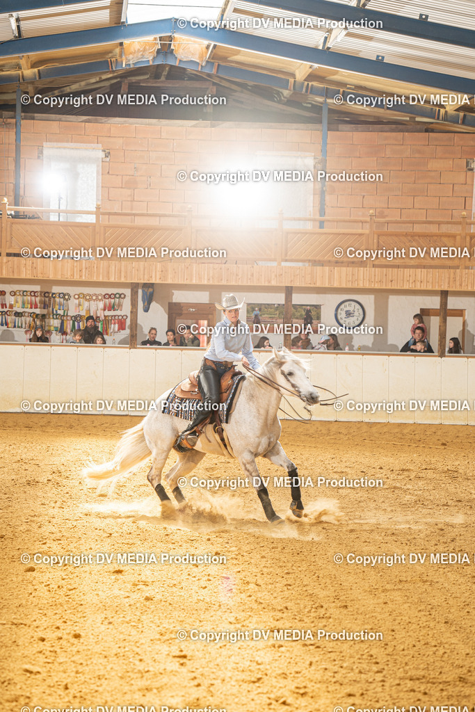 MIT01334 | dv-media-shop - Realisiert mit Pictrs.com