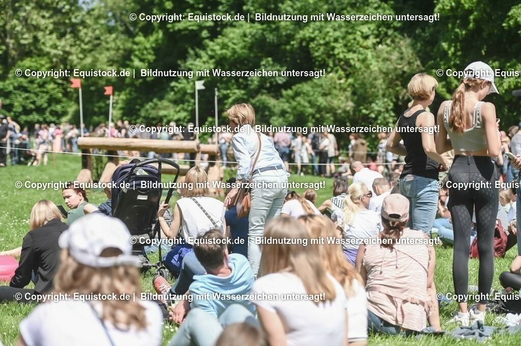 D78_2985 | equistock