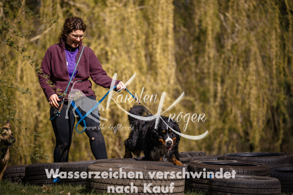 1041_ZZ98684 | kk-dogfotos