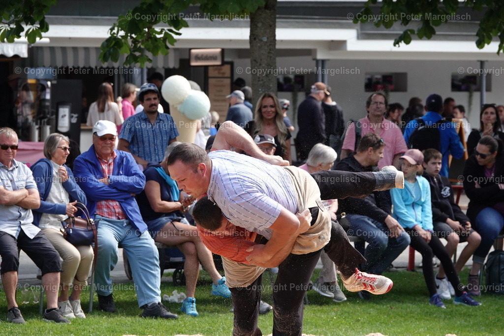 DSC01461 | Schwingen - Realisiert mit Pictrs.com