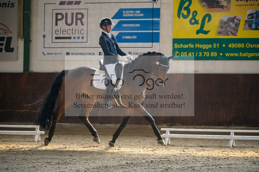Reitturnier Voxtrup | Entdecke hochwertige Reitturnierfotos von Foto Oger. Professionell, emotional und authentisch – jetzt Lieblingsmomente im Shop bestellen.Deutschlandweite Turnierfotografie. - Realisiert mit Pictrs.com