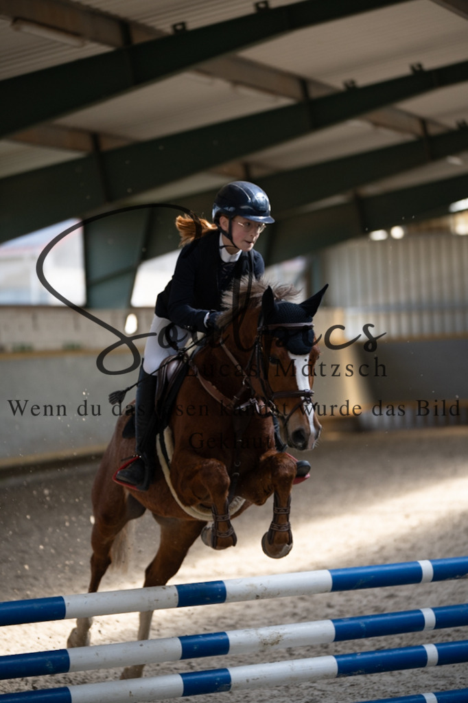 A7V06731 | Pferdefotograf