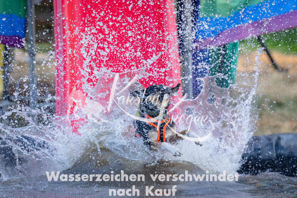 1846_ZZ91676 | kk-dogfotos